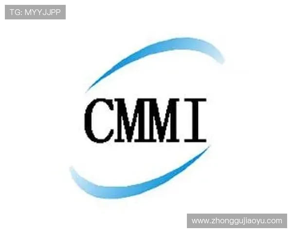 Kaiyun开云地址登录入口常见问题及快速解决方案，保障顺畅登录体验