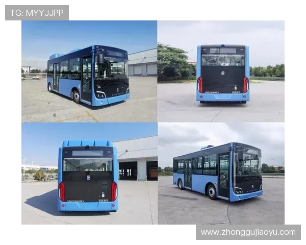 亚星官方网官网入口安全指南快速访问与使用指南