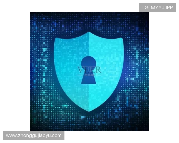 亚星游戏登录入口555安全保障措施全面解析，保障玩家账号信息安全与隐私保护