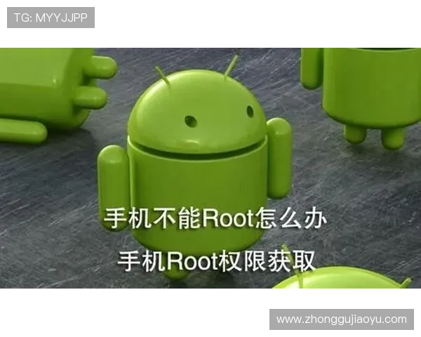 亚星登录平台账号密码重置流程详解，帮助用户快速找回登录权限的详细步骤