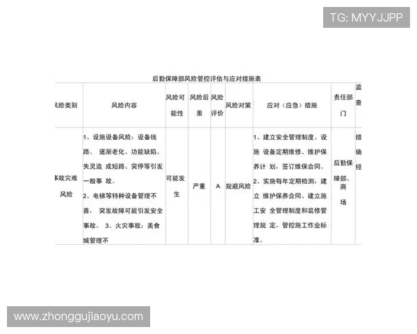 亚星游戏官网登录入口安全风险评估与应对策略全面指导用户保护账号